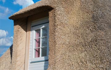 Draffan thatch roof disadvantages